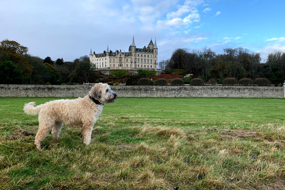 PetFriendly Motorhome Hire DogFriendly Campervans Scotland